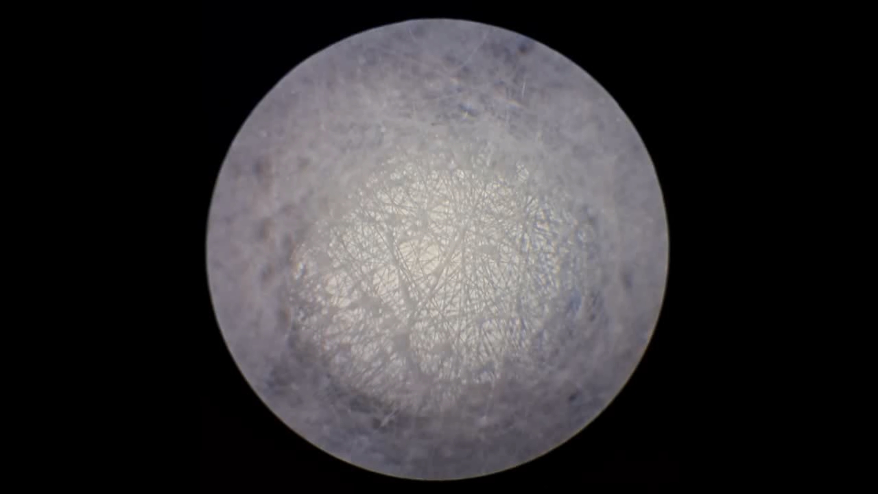 Electrospinning: Solution of Polystyrene in Ethyl Acetate